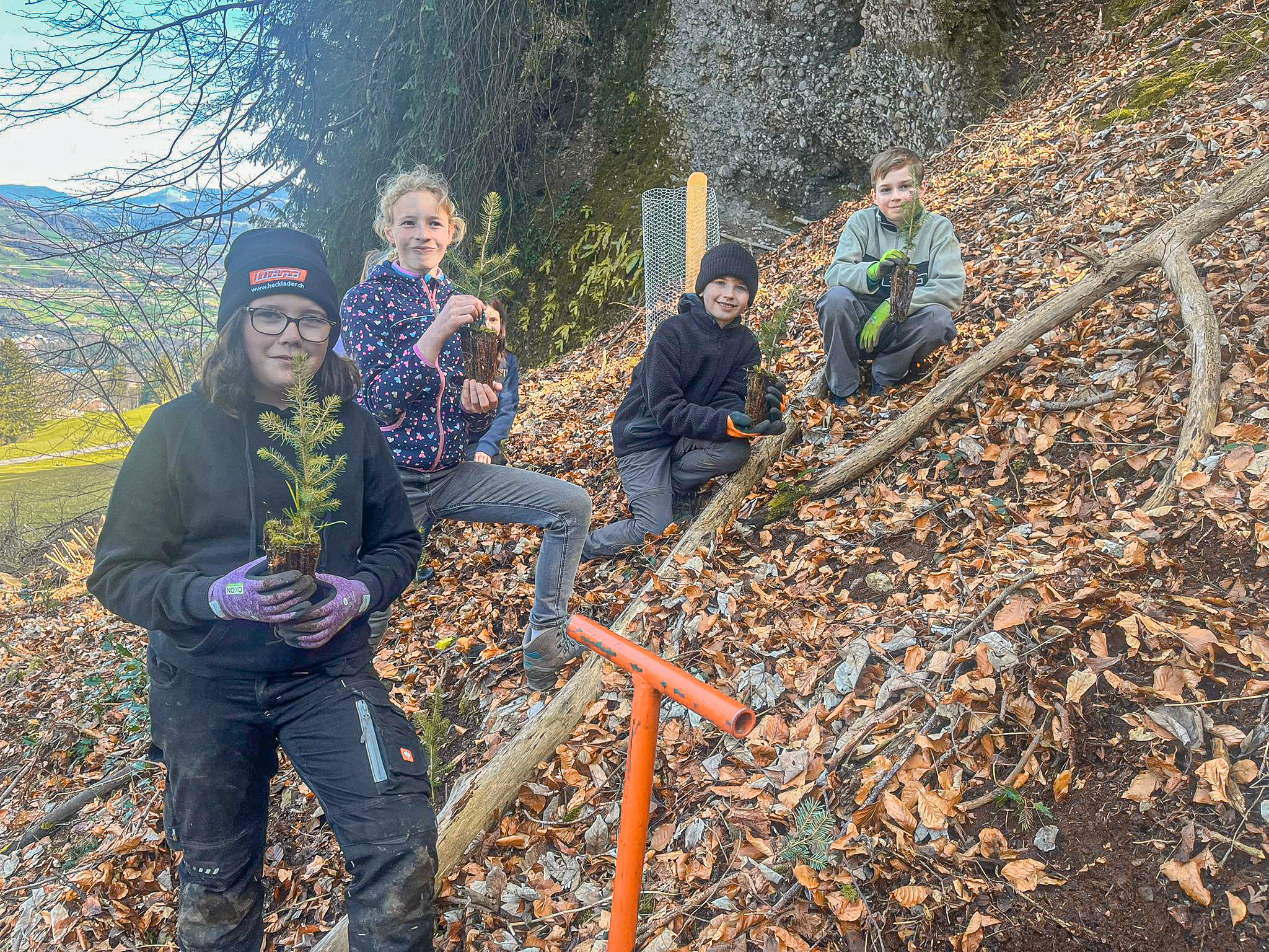 Bäume pflanzen Schulklasse 26 1