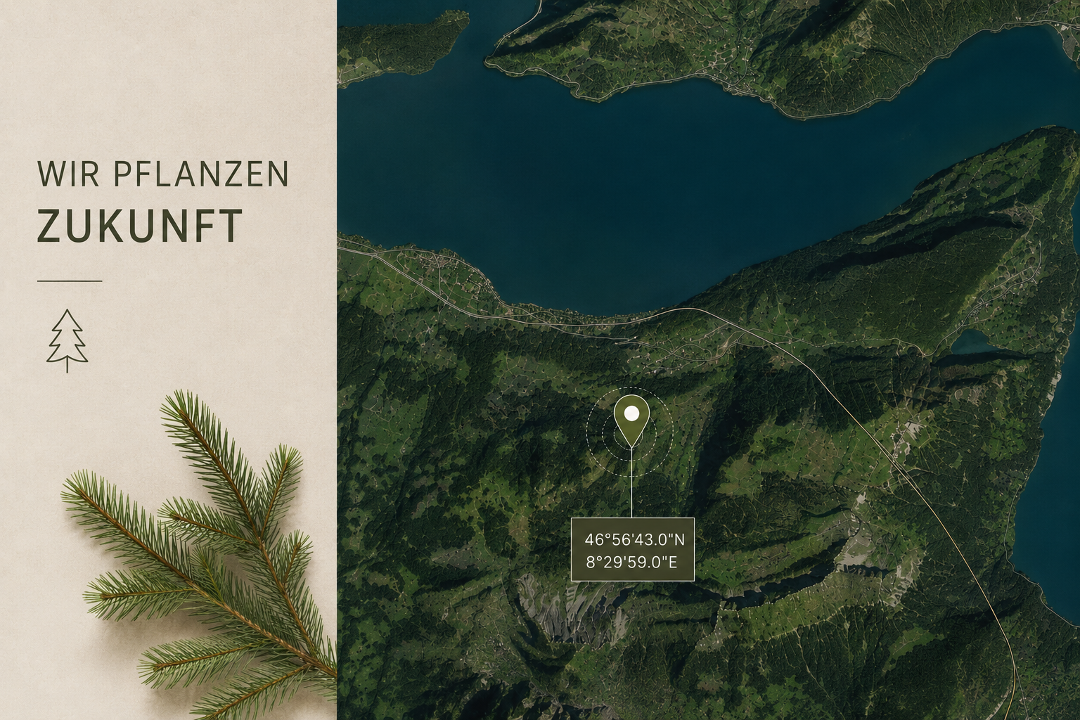 Fageb Baum pflanzen Juni2026